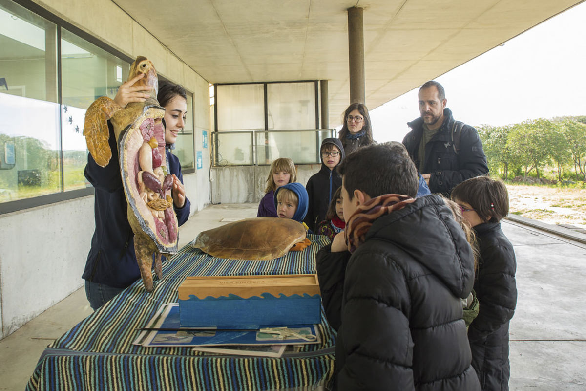 Hemos encontrado un nido de tortugas-1