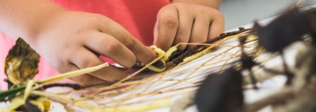 Mira lo que he encontrado!-1