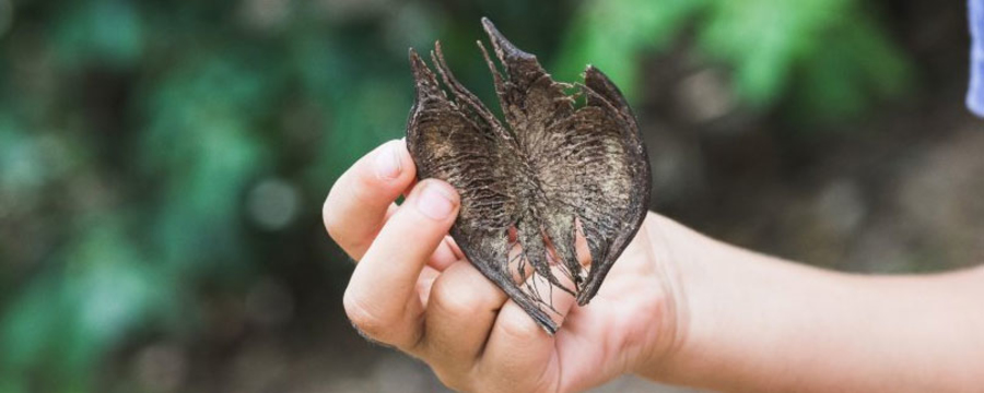 Mira lo que he encontrado!-2