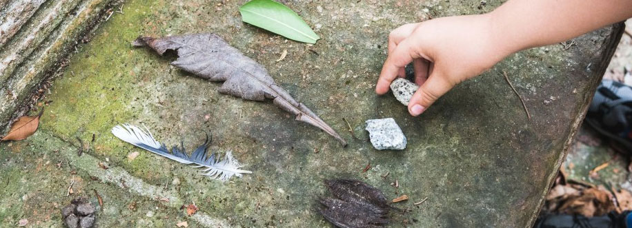 Mira lo que he encontrado!