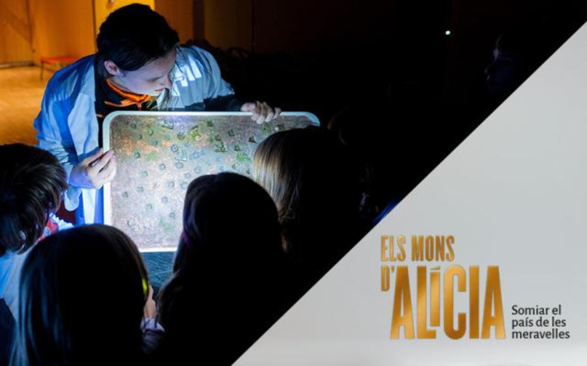 Los mundos de Alicia. Soñar el país de las maravillas-2