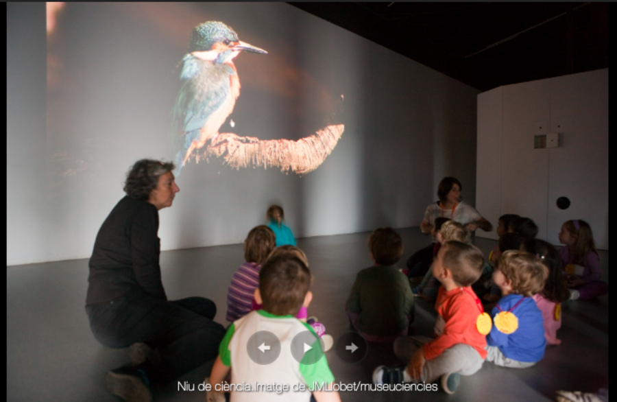 Nido de ciencia familiar-1